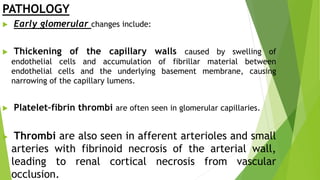 PATHOLOGY
 Early glomerular changes include:
 Thickening of the capillary walls caused by swelling of
endothelial cells and accumulation of fibrillar material between
endothelial cells and the underlying basement membrane, causing
narrowing of the capillary lumens.
 Platelet–fibrin thrombi are often seen in glomerular capillaries.
 Thrombi are also seen in afferent arterioles and small
arteries with fibrinoid necrosis of the arterial wall,
leading to renal cortical necrosis from vascular
occlusion.
 