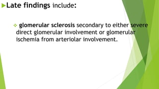 Late findings include:
 glomerular sclerosis secondary to either severe
direct glomerular involvement or glomerular
ischemia from arteriolar involvement.
 