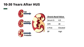 Hemolytic Uremic Syndrome (HUS) (1).pptx