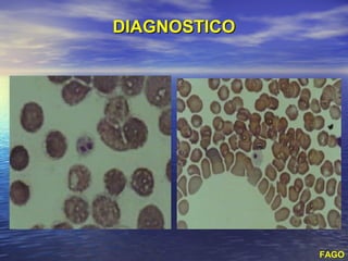 DIAGNOSTICO




              FAGO
 