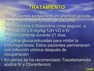TRATAMIENTO
• Transfusiones sanguíneas en anemias graves
  que comprometan la vida del paciente.
• Oxitetraciclina ó Doxiciclina (más segura) a
  dosis de 20 y 5 mg/kg/12H VO ó IV
  respectivamente durante 21 días.
• En gatos glucocorticoides para inhibir la
  eritrofagocitosis. Estos pacientes permanecen
  con infección crónica después de
  recuperación
• En perros se ha recomendado Tiacetarsamida
  sódica IV y Cloranfenicol.
                                            FAGO
 