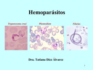 Hemoparásitos
1
Trypanosoma cruzi Plasmodium Filarias
Dra. Tatiana Diez Álvarez
 