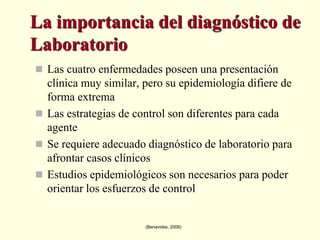 (Benavides, 2008)ErlichiosisMonocitica Equina,   MorfologíaFuente: Página web Ehrlichia, Universidad e California, Davishttp://www.vetmed.ucdavis.edu/vbdp/granulocytic/HGE-EGE.html