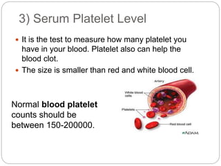  It is the test to measure how many platelet you
have in your blood. Platelet also can help the
blood clot.
 The size is smaller than red and white blood cell.
Normal blood platelet
counts should be
between 150-200000.
3) Serum Platelet Level
 