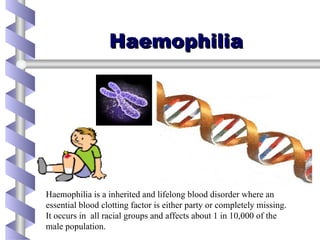 Haemophilia Haemophilia is a inherited and lifelong blood disorder where an  essential blood clotting factor is either party or completely missing. It occurs in  all racial groups and affects about 1 in 10,000 of the male population.  