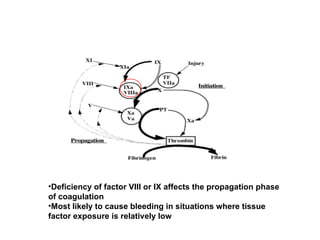 •Deficiency of factor VIII or IX affects the propagation phase
of coagulation
•Most likely to cause bleeding in situations where tissue
factor exposure is relatively low
 