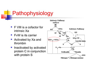 Pathophysiology
 F VIII is a cofactor for
intrinsic Xa
 FvW is its carrier
 Activated by Xa and
thrombin
 Inactivated by activated
protein C in conjunction
with protein S
 