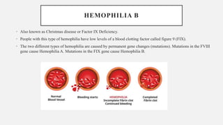 HEMOPHILIA B
• Also known as Christmas disease or Factor IX Deficiency.
• People with this type of hemophilia have low levels of a blood clotting factor called figure 9 (FIX).
• The two different types of hemophilia are caused by permanent gene changes (mutations). Mutations in the FVIII
gene cause Hemophilia A. Mutations in the FIX gene cause Hemophilia B.
 