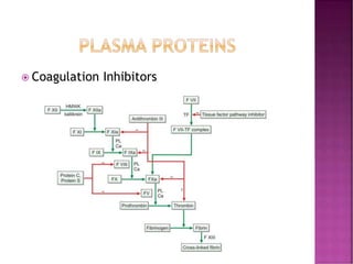  Coagulation Inhibitors
 