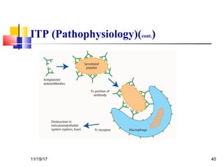 ITP (Pathophysiology)(cont.)
11/19/17 40
 