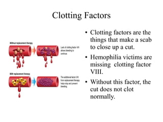 Clotting Factors
●

●

●

Clotting factors are the
things that make a scab
to close up a cut.
Hemophilia victims are
missing clotting factor
VIII.
Without this factor, the
cut does not clot
normally.

 