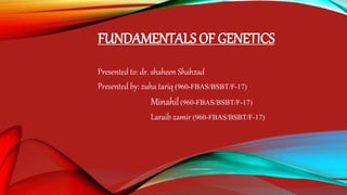 FUNDAMENTALS OF GENETICS
Presented to: dr. shaheen Shahzad
Presented by: zuha tariq (960-FBAS/BSBT/F-17)
Minahil(960-FBAS/BSBT/F-17)
Laraib zamir (960-FBAS/BSBT/F-17)
 
