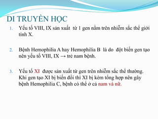 DI TRUYỀN HỌC
1. Yếu tố VIII, IX sản xuất từ 1 gen nằm trên nhiễm sắc thể giới
tính X.
2. Bệnh Hemophilia A hay Hemophilia B là do đột biến gen tạo
nên yếu tố VIII, IX → trẻ nam bệnh.
3. Yếu tố XI đƣợc sản xuất từ gen trên nhiễm sắc thể thƣờng.
Khi gen tạo XI bị biến đổi thì XI bị kém tổng hợp nên gây
bệnh Hemophilia C, bệnh có thể ở cả nam và nữ.
 