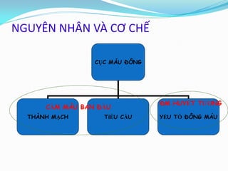 NGUYÊN NHÂN VÀ CƠ CHẾ
CỤC MÁU ĐÔNG
THÀNH MẠCH TiỂU CẦU YẾU TỐ ĐÔNG MÁU
CẦM MÁU BAN ĐẦU
ĐM HUYẾT TƯƠNG
 