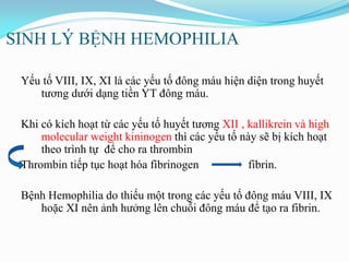 SINH LÝ BỆNH HEMOPHILIA
Yếu tố VIII, IX, XI là các yếu tố đông máu hiện diện trong huyết
tƣơng dƣới dạng tiền YT đông máu.
Khi có kích hoạt từ các yếu tố huyết tƣơng XII , kallikrein và high
molecular weight kininogen thì các yếu tố này sẽ bị kích hoạt
theo trình tự để cho ra thrombin
Thrombin tiếp tục hoạt hóa fibrinogen fibrin.
Bệnh Hemophilia do thiếu một trong các yếu tố đông máu VIII, IX
hoặc XI nên ảnh hƣởng lên chuỗi đông máu để tạo ra fibrin.
 