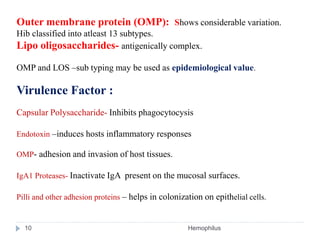 Outer membrane protein (OMP): Shows considerable variation.
Hib classified into atleast 13 subtypes.
Lipo oligosaccharides- antigenically complex.
OMP and LOS –sub typing may be used as epidemiological value.
Virulence Factor :
Capsular Polysaccharide- Inhibits phagocytocysis
Endotoxin –induces hosts inflammatory responses
OMP- adhesion and invasion of host tissues.
IgA1 Proteases- Inactivate IgA present on the mucosal surfaces.
Pilli and other adhesion proteins – helps in colonization on epithelial cells.
10 Hemophilus
 