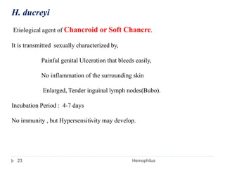 H. ducreyi
Etiological agent of Chancroid or Soft Chancre.
It is transmitted sexually characterized by,
Painful genital Ulceration that bleeds easily,
No inflammation of the surrounding skin
Enlarged, Tender inguinal lymph nodes(Bubo).
Incubation Period : 4-7 days
No immunity , but Hypersensitivity may develop.
23 Hemophilus
 