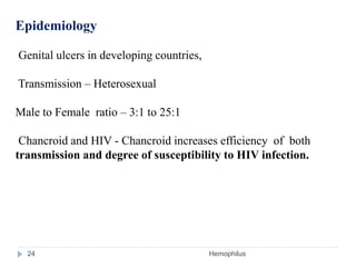 Epidemiology
Genital ulcers in developing countries,
Transmission – Heterosexual
Male to Female ratio – 3:1 to 25:1
Chancroid and HIV - Chancroid increases efficiency of both
transmission and degree of susceptibility to HIV infection.
24 Hemophilus
 