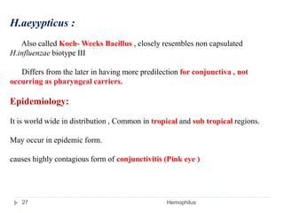H.aeyypticus :
Also called Koch- Weeks Bacillus , closely resembles non capsulated
H.influenzae biotype III
Differs from the later in having more predilection for conjunctiva , not
occurring as pharyngeal carriers.
Epidemiology:
It is world wide in distribution , Common in tropical and sub tropical regions.
May occur in epidemic form.
causes highly contagious form of conjunctivitis (Pink eye )
27 Hemophilus
 
