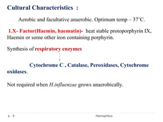 Cultural Characteristics :
Aerobic and facultative anaerobic. Optimum temp – 37˚C.
1.X- Factor(Haemin, haematin)- heat stable protoporphyrin IX,
Haemin or some other iron containing porphyrin.
Synthesis of respiratory enzymes
Cytochrome C , Catalase, Peroxidases, Cytochrome
oxidases.
Not required when H.influenzae grows anaerobically.
5 Hemophilus
 