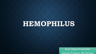 HEMOPHILUS
By Dr. Rakesh Prasad Sah
Assistant Professor, Microbiology
 