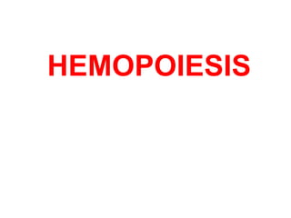 HEMOPOIESIS
 