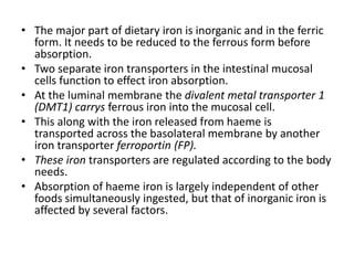 • The major part of dietary iron is inorganic and in the ferric
form. It needs to be reduced to the ferrous form before
absorption.
• Two separate iron transporters in the intestinal mucosal
cells function to effect iron absorption.
• At the luminal membrane the divalent metal transporter 1
(DMT1) carrys ferrous iron into the mucosal cell.
• This along with the iron released from haeme is
transported across the basolateral membrane by another
iron transporter ferroportin (FP).
• These iron transporters are regulated according to the body
needs.
• Absorption of haeme iron is largely independent of other
foods simultaneously ingested, but that of inorganic iron is
affected by several factors.
 