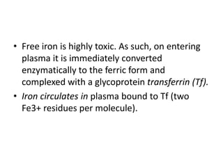 • Free iron is highly toxic. As such, on entering
plasma it is immediately converted
enzymatically to the ferric form and
complexed with a glycoprotein transferrin (Tf).
• Iron circulates in plasma bound to Tf (two
Fe3+ residues per molecule).
 