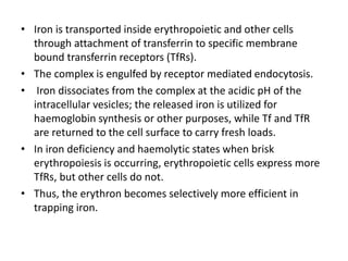 • Iron is transported inside erythropoietic and other cells
through attachment of transferrin to specific membrane
bound transferrin receptors (TfRs).
• The complex is engulfed by receptor mediated endocytosis.
• Iron dissociates from the complex at the acidic pH of the
intracellular vesicles; the released iron is utilized for
haemoglobin synthesis or other purposes, while Tf and TfR
are returned to the cell surface to carry fresh loads.
• In iron deficiency and haemolytic states when brisk
erythropoiesis is occurring, erythropoietic cells express more
TfRs, but other cells do not.
• Thus, the erythron becomes selectively more efficient in
trapping iron.
 