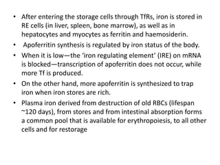 • After entering the storage cells through TfRs, iron is stored in
RE cells (in liver, spleen, bone marrow), as well as in
hepatocytes and myocytes as ferritin and haemosiderin.
• Apoferritin synthesis is regulated by iron status of the body.
• When it is low—the ‘iron regulating element’ (IRE) on mRNA
is blocked—transcription of apoferritin does not occur, while
more Tf is produced.
• On the other hand, more apoferritin is synthesized to trap
iron when iron stores are rich.
• Plasma iron derived from destruction of old RBCs (lifespan
~120 days), from stores and from intestinal absorption forms
a common pool that is available for erythropoiesis, to all other
cells and for restorage
 