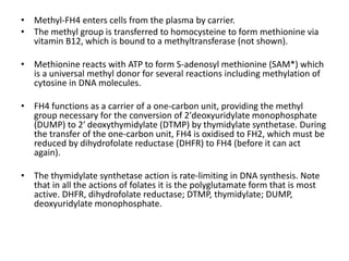 • Methyl-FH4 enters cells from the plasma by carrier.
• The methyl group is transferred to homocysteine to form methionine via
vitamin B12, which is bound to a methyltransferase (not shown).
• Methionine reacts with ATP to form S-adenosyl methionine (SAM*) which
is a universal methyl donor for several reactions including methylation of
cytosine in DNA molecules.
• FH4 functions as a carrier of a one-carbon unit, providing the methyl
group necessary for the conversion of 2′deoxyuridylate monophosphate
(DUMP) to 2′ deoxythymidylate (DTMP) by thymidylate synthetase. During
the transfer of the one-carbon unit, FH4 is oxidised to FH2, which must be
reduced by dihydrofolate reductase (DHFR) to FH4 (before it can act
again).
• The thymidylate synthetase action is rate-limiting in DNA synthesis. Note
that in all the actions of folates it is the polyglutamate form that is most
active. DHFR, dihydrofolate reductase; DTMP, thymidylate; DUMP,
deoxyuridylate monophosphate.
 