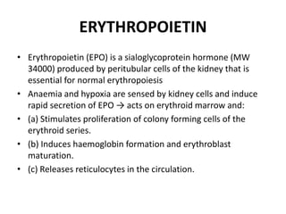 ERYTHROPOIETIN
• Erythropoietin (EPO) is a sialoglycoprotein hormone (MW
34000) produced by peritubular cells of the kidney that is
essential for normal erythropoiesis
• Anaemia and hypoxia are sensed by kidney cells and induce
rapid secretion of EPO → acts on erythroid marrow and:
• (a) Stimulates proliferation of colony forming cells of the
erythroid series.
• (b) Induces haemoglobin formation and erythroblast
maturation.
• (c) Releases reticulocytes in the circulation.
 