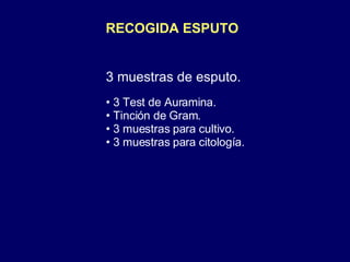 RECOGIDA ESPUTO 3 muestras de esputo. 3 Test de Auramina. Tinción de Gram. 3 muestras para cultivo. 3 muestras para citología. 