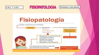 S.N.C Y S.N.P Pulmones y vías aéreas
 