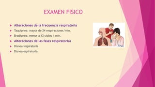 EXAMEN FISICO
 Alteraciones de la frecuencia respiratoria
 Taquipnea: mayor de 24 respiraciones/min.
 Bradipnea: menor a 12 ciclos / min.
 Alteraciones de las fases respiratorias
 Disnea inspiratoria
 Disnea espiratoria
 