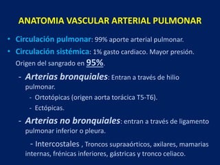 ANATOMIA VASCULAR ARTERIAL PULMONAR
• Circulación pulmonar: 99% aporte arterial pulmonar.
• Circulación sistémica: 1% gasto cardiaco. Mayor presión.
Origen del sangrado en 95%.
- Arterias bronquiales: Entran a través de hilio
pulmonar.
- Ortotópicas (origen aorta torácica T5-T6).
- Ectópicas.
- Arterias no bronquiales: entran a través de ligamento
pulmonar inferior o pleura.
- Intercostales , Troncos supraaórticos, axilares, mamarias
internas, frénicas inferiores, gástricas y tronco celiaco.
 