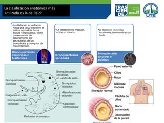 •La dilatación es uniforme
hasta que la luz adquiere el
calibre normal de forma
brusca y transversal, como
consecuencia del
taponamiento por
secreciones de los
bronquiolos y bronquios de
menor tamaño.
Bronquiectasias
cilindricas o
fusiformes
•La dilatación es irregular,
como un rosario.
Bronquiectasias
varicosas
•La dilatación se acentúa
distalmente, terminando en un
fondo
Bronquiectasias
saculares o
quísticas
La clasificación anatómica más
utilizada es la de Reid:
 