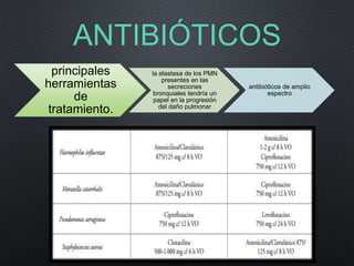 ANTIBIÓTICOS
principales
herramientas
de
tratamiento.
la elastasa de los PMN
presentes en las
secreciones
bronquiales tendría un
papel en la progresión
del daño pulmonar
antibióticos de amplio
espectro
 