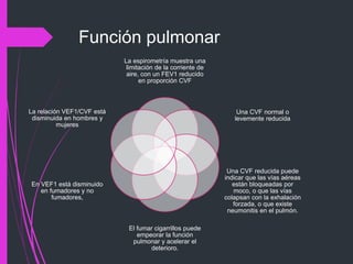 Función pulmonar
La espirometría muestra una
limitación de la corriente de
aire, con un FEV1 reducido
en proporción CVF
Una CVF normal o
levemente reducida
Una CVF reducida puede
indicar que las vías aéreas
están bloqueadas por
moco, o que las vías
colapsan con la exhalación
forzada, o que existe
neumonitis en el pulmón.
El fumar cigarrillos puede
empeorar la función
pulmonar y acelerar el
deterioro.
En VEF1 está disminuido
en fumadores y no
fumadores,
La relación VEF1/CVF está
disminuida en hombres y
mujeres
 