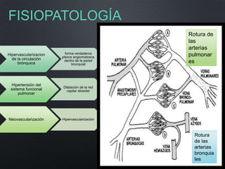 FISIOPATOLOGÍA
Hipervascularizacion
de la circulación
brónquica
forma verdaderos
plexos angiomatosos
dentro de la pared
bronquial
Hipertensión del
sistema funcional
pulmonar
Dilatación de la red
capilar alveolar
Neovascularización Hipervascularización
Rotura
de las
arterias
bronquia
les
Rotura de
las
arterias
pulmonar
es
 