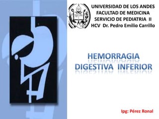 UNIVERSIDAD DE LOS ANDES
  FACULTAD DE MEDICINA
 SERVICIO DE PEDIATRIA II
HCV Dr. Pedro Emilio Carrillo




             Ipg: Pérez Ronal
 