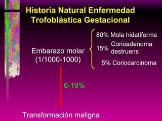 Embarazo molar (1/1000-1000) Transformación maligna 6-19% 80% Mola hidatiforme Corioadenoma destruens 15% 5% Coriocarcinoma Historia Natural Enfermedad Trofoblástica Gestacional 