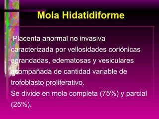 Mola Hidatidiforme Placenta anormal no invasiva caracterizada por vellosidades coriónicas agrandadas, edematosas y vesiculares acompañada de cantidad variable de trofoblasto proliferativo. Se divide en mola completa (75%) y parcial (25%). 
