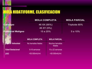 MOLA HIDATIFORME. CLASIFICACION 