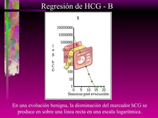 En una evolución benigna, la disminución del marcador hCG se produce en sobre una línea recta en una escala logarítmica. Regresión de HCG - B 