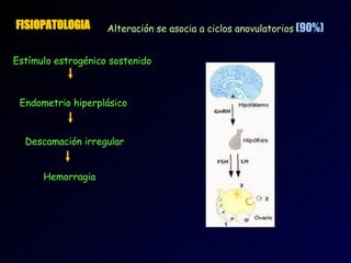 FISIOPATOLOGIA   Alteración se asocia a ciclos anovulatorios  (90%) Estímulo estrogénico sostenido   Endometrio hiperplásico   Descamación irregular   Hemorragia 