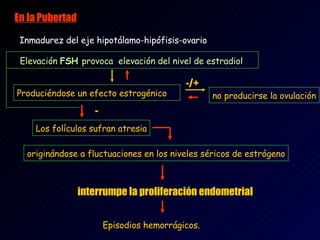 En la Pubertad   Inmadurez del eje hipotálamo-hipófisis-ovario .  Elevación  FSH  provoca  elevación del nivel de estradiol   Produciéndose un efecto estrogénico .  Episodios hemorrágicos.     no producirse la ovulación Los folículos sufran atresia originándose a fluctuaciones en los niveles séricos de estrógeno interrumpe la proliferación endometrial - -/+ 
