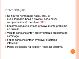 IDENTIFICAÇÃO
 Se houver hemorragia nasal, oral, e
auricular(nariz, boca e ouvido) pode haver
comprometimento cerebral(TCE)
 Escarros sanguinolentos> provavelmente problema
no pulmão
 Vômito sanguinolento> provavelmente problema no
estômago
 Fezes sanguinolentas> Provável problema
intestinal
 Perda de sangue na vagina> Pode ser abortivo.
 