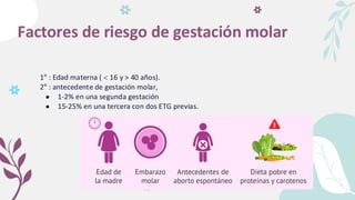 Factores de riesgo de gestación molar
1° : Edad materna (  16 y > 40 años).
2° : antecedente de gestación molar,
● 1-2% en una segunda gestación
● 15-25% en una tercera con dos ETG previas.
 