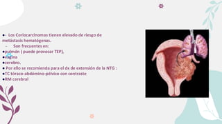 ●- Los Coriocarcinomas tienen elevado de riesgo de
metástasis hematógenas.
- Son frecuentes en:
●pulmón ( puede provocar TEP),
●vagina
●cerebro.
● Por ello se recomienda para el dx de extensión de la NTG :
●TC tóraco-abdómino-pélvico con contraste
●RM cerebral
 